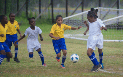 Smalta girls’ peewee football 2018… South begins title defence on a high