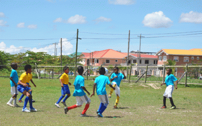 EBFA/Ralph Green U-11 League… Six more matches are on today at Diamond Community Centre Ground