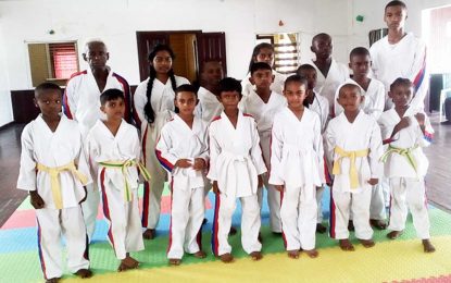 Tiger Martial Arts Academy hosts final Taekwondo Examination for the year