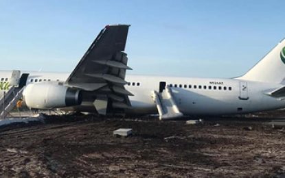 Firefighters who allegedly stole from passengers of crashed aircraft released on bail