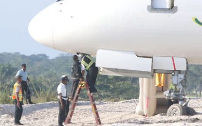 Too early to comment on what caused crash landing – Fly Jamaica