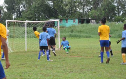 EBFA/Ralph Green U-11 League Two playing days to go and #1 spot not yet confirmed; Timehri Panthers tipped