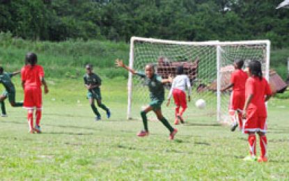 EBFA/Ralph Green U-11 League Timehri storm back to hand Agricola first loss; Grove sits at top with one game to go