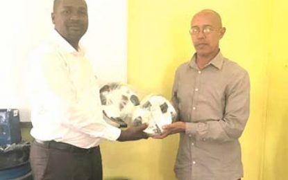 Bartica FA to host 2-day Youth Festival this weekend GFF contribute balls