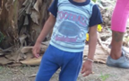 Toddler burns to death at grandparents’ Mon Repos home