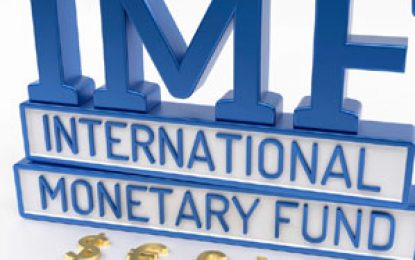 Finance Ministry, GRA should have key role in wording Model PSA provisions -IMF