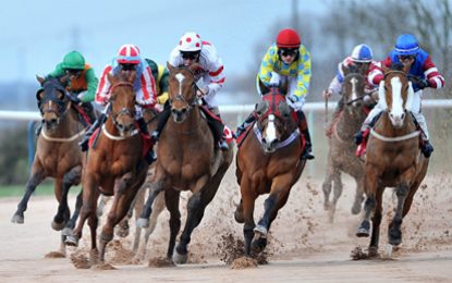 Georgetown Turf Club Pre-Mash Horse Race Meet on this Sunday