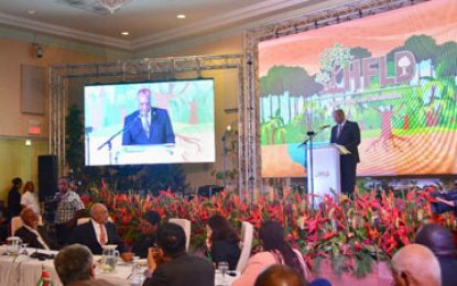 Guyana with high forest cover should get priority financing  -appeal made to int’l community