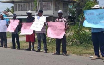 Canje cattle farmers protest after animals impounded