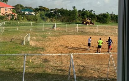 Ogle Airport lands leased since 2010 used as private football field—but small operators being stifled