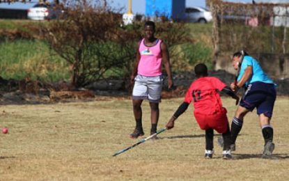 Bounty Paper Towel & Solo Drink Hockey LeaguesDefending Champs GBTI earn 5-3 win over Bingo Spartans