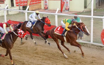 Jumbo Jet Triple Crown final leg Inaugural event concludes today