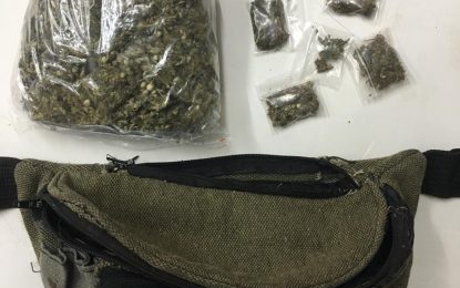 Female shopkeeper from Vigilance tried to dump ganja through windows