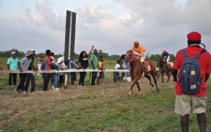 Ryan Crawford One Day Horse Race Meet to be contested on Sunday