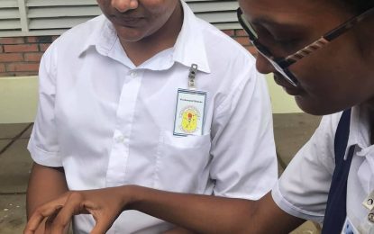 Berbice agri students grow organic cauliflower