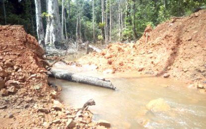 Work underway to restore Mahdia main access road as flood waters recede