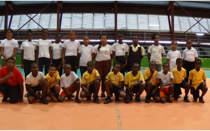 New Diamond Primary School retain title