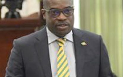 Patterson refutes claim that business in Guyana is slowing