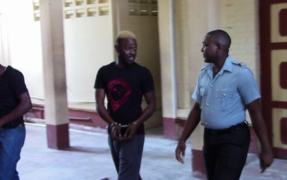 Jamaican who escaped police custody gets nine months in prison