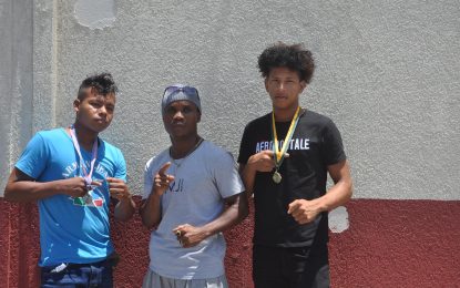 One N Move Boxing and Comedy Jam at Vergenoegen Boxers from Siparuta Village participate