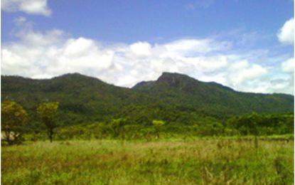 The Pakaraima Mountain monster