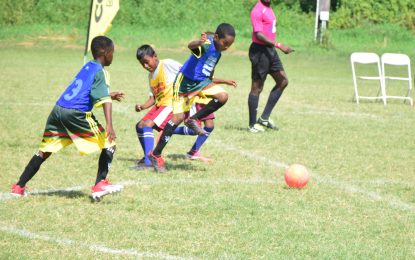 Courts Pee Wee Football round-robin stage concludes today