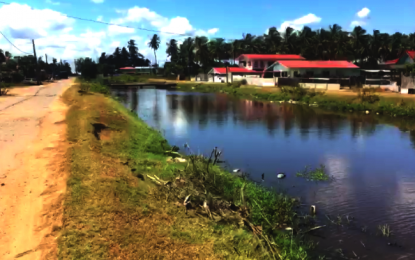 Topoo man drowns after falling into canal.