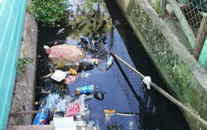 Charity residents decry insanitary drain