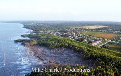 Spring tides destroys 30 metres of mangroves monthly-Min Patterson