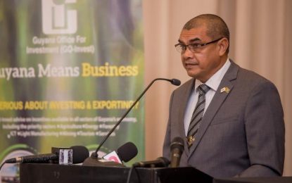 New investment framework being sought for Guyana  ─  GO-Invest launches consultancies to review current agenda