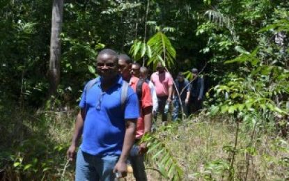 Sites earmarked for Bartica, Lethem solar farms ― GEA, contractors inspect locations