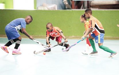 GHB Junior Indoor C/Ship begins today at CASH