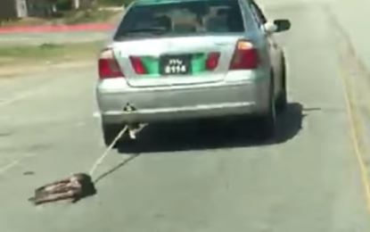 Driver caught on a viral video dragging a dog tied to his car – tells police dog was dead