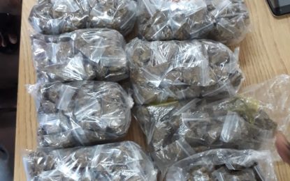 Police unearth 1076 grams of ganja in Werk-en-Rust