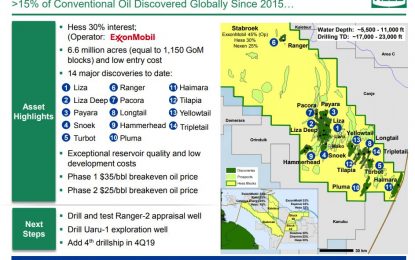 Depletion policy crucial to longevity of Guyana’s oil industry –TT expert, Anthony Paul