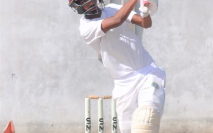 Regional First-Class cricket practice match