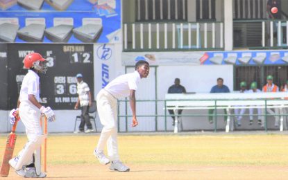 Dave’s West Indian Imports Inter-County 50-over cricket