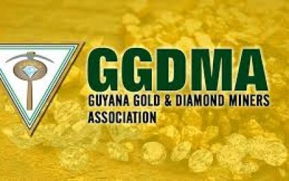 March 2 Elections results… Illegal declarations will not augur well for Guyana – GGDMA warns