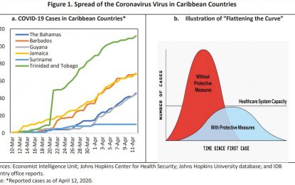 COVID-19 cases in Guyana, other territories relatively small but curve not flattening – IDB