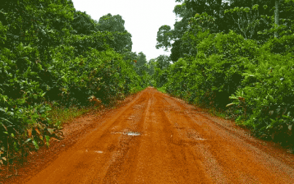 Iwokrama Centre now requires travellers in its forests to wear masks