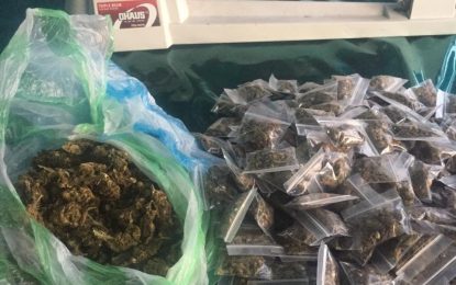 Police arrest Corentyne couple with marijuana, scale in home