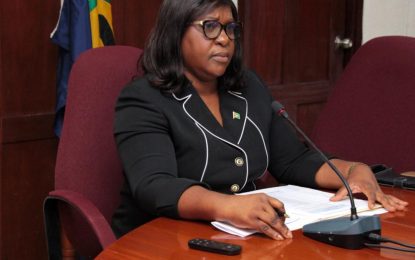 Guyana makes case to Germany for COVID-19 financial support