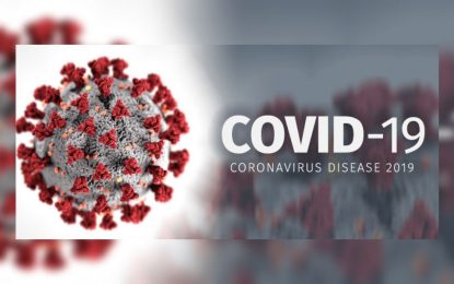 COVID-19 cases increase to 308