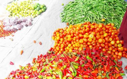 COVID-19 pandemic leads to waste in vegetables, fruits subsector