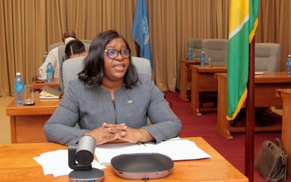 Guyana appeals for improved internet services