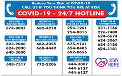 Volunteers keep COVID-19 hotlines going – Ministry