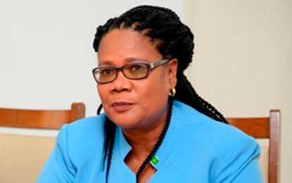 WGEC concerned over removal of Tourism PS Karen Vansluytman-Corbin