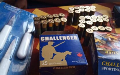 Driver arrested with two boxes of ammunition