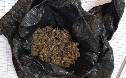 Cops arrest labourer found  with bag of cannabis, other  articles suspected to be stolen