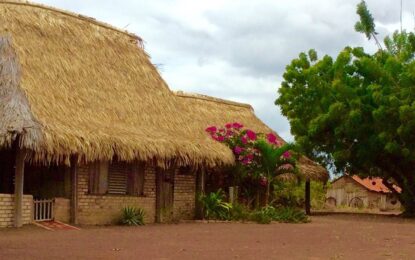 Karanambu Lodge, Piraiba Lodge among 13 tourist operations granted conditional approval for reopening